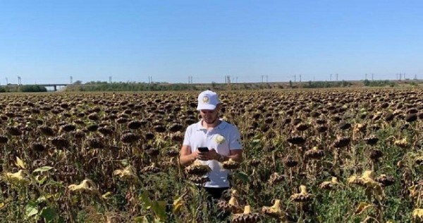 Главы Минсельхозов стран ШОС обсудили влияние пандемии коронавируса на сельское хозяйство