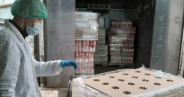 Катар оказал Минздраву Таджикистана техническую помощь на сумму $250 тыс. для борьбы с COVID-19