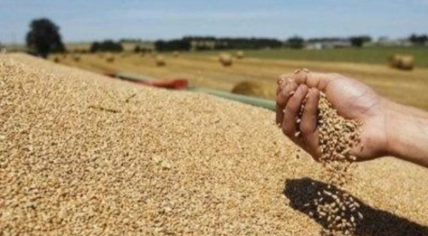 Около 18% от объема импорта Таджикистана составили нефтепродукты, мука и пшеница