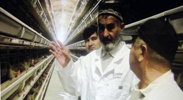 Птицефабрика ООО «Саман» в Кулябе предлагает жителям качественную продукцию по доступным ценам