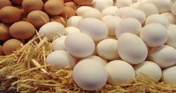 В Таджикистане увеличилось производство яиц и курятины