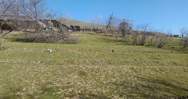 В районе Джалолуддин Балхи задержаны два мошенника