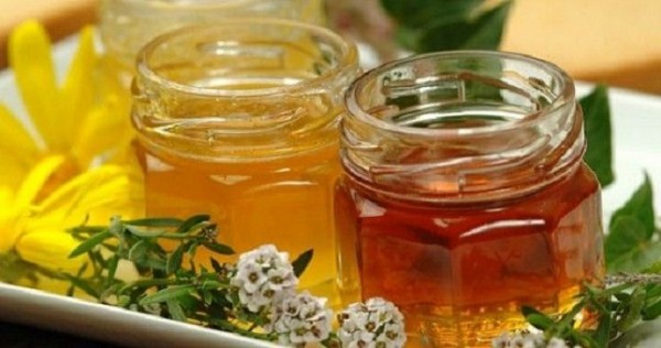 Канадская компания планируют экспортировать мед из Таджикистана в Европу и Америку