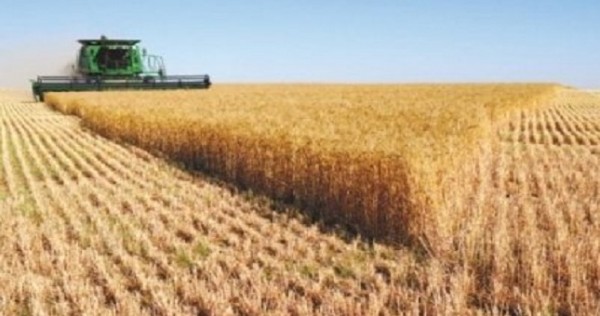 Объем производства сельхозпродукции в Таджикистане увеличился на 7,4%