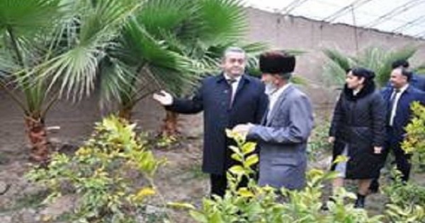 В Леваканте в прошлом году собрано 342 тонны фруктов
