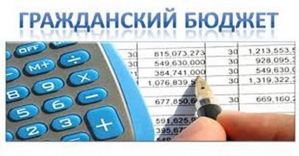 Минфин Таджикистана разместил на своем сайте Гражданский бюджет на 2020 год