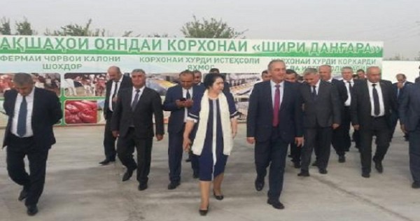 Что построили к празднику? В Хатлоне изучают опыт строительства праздничных объектов