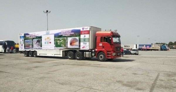 В Термезе стартовал автопробег из Узбекистана и Таджикистана в Китай