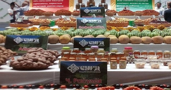 Итоги первого полугодия: Согдийская область сотрудничает с субъектами 52 государств мира