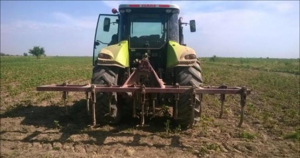 В ГБАО отпраздновали начало посевных работ