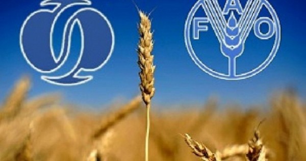 В Таджикистане ФАО обучил вести бизнес 50 кандидатов на получение грантов