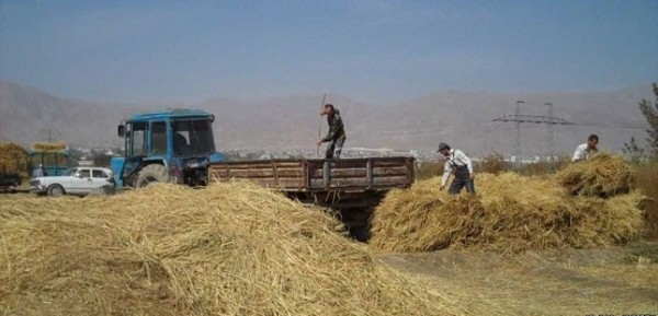 Международные доноры приостановили программы бюджетной поддержки Таджикистана