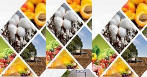 «Банк Эсхата» снизил ставки на агрокредиты