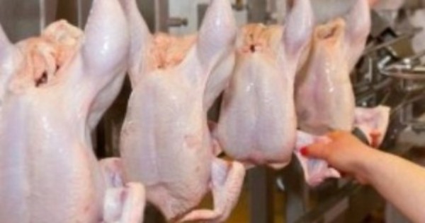 Таджикистан импортировал 17,8 тыс. тонн куриного мяса