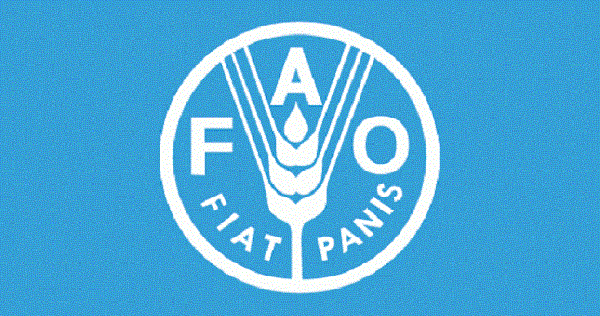 ФАО поможет Таджикистану обеспечить продовольственную безопасность