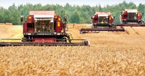 Объем сельхозпродукции, произведенный в Таджикистане, составил свыше 6,7 млрд. сомони