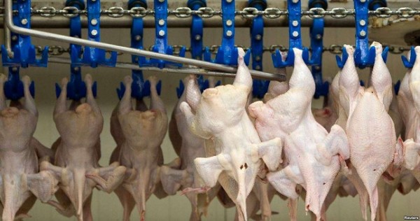 В Таджикистане сотни тонн изъятого куриного фарша пойдут в солдатские каши