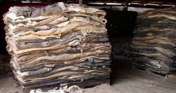 На кыргызско-таджикской границе задержан контрабандный груз шкур на $1,5 тыс