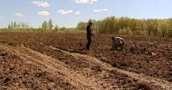 $60 в месяц: чиновники в Таджикистане считают это – "достаточная" зарплата