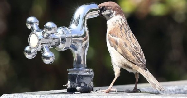 Чистой питьевой водой обеспечено свыше 62% населения Таджикистана