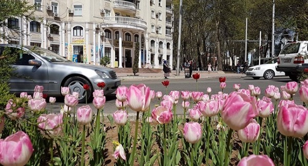 Две узбекские компании создали свои представительства в Таджикистане