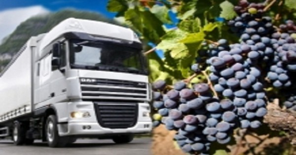 Кто вывозит в Россию таджикскую сельхозпродукцию?