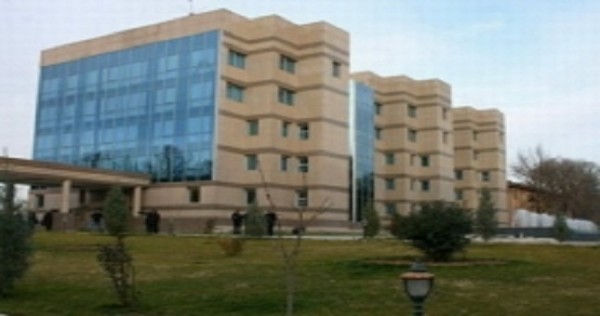 НБТ разъяснил новый порядок установления курса наличного доллара
