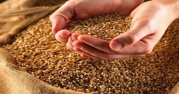 Воронежская область может поставлять в Таджикистан сельхозпродукцию