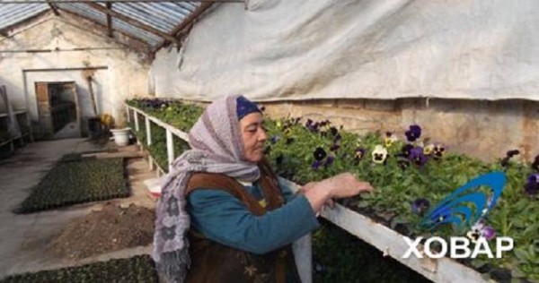 ГУП «Гулпарвар» переживает не лучшие времена
