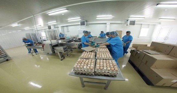 Испания поставит новейшее оборудование для крупной птицефабрики на юге Таджикистана
