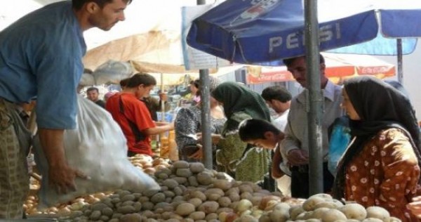 Объем производства сельхозпродукции в РТ превысил 15 млрд. сомони