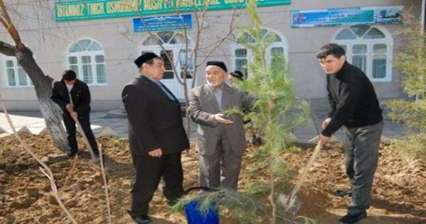 В Узбекистане создадут махаллинские сервисные компании с бюджетным финансированием