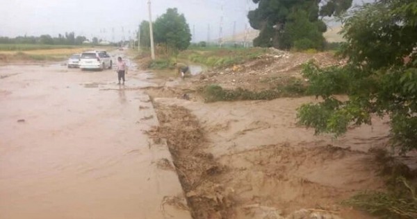 Сели перекрыли дороги в селах Пенджикента и Шахристана