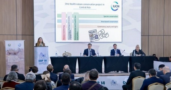 Запущена инициатива «Единое здоровье в Центральной Азии»
