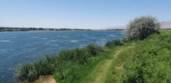 На берегу Сирдарьи нашли тела женщины и двух детей