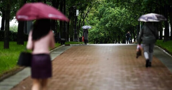 Время зонтов: в Таджикистане пройдут дожди и грозы на фоне жары