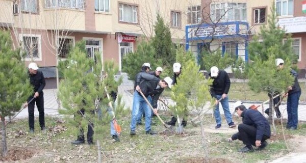 В столичном районе Исмоили Сомони прошел субботник по благоустройству