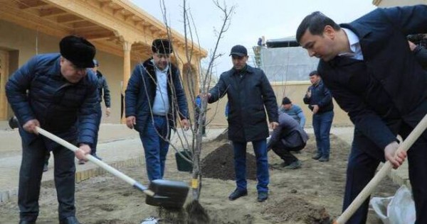 В Худжандской крепости прошла кампания по посадке деревьев