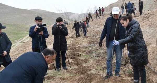 На республиканской свалке токсичных химикатов посадили 3 тысячи саженцев