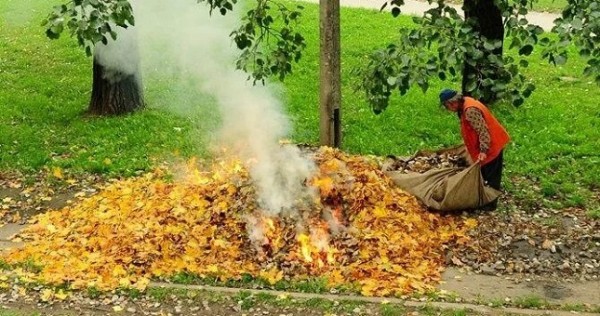 Обращение Комитета по охране окружающей среды к гражданам Таджикистана