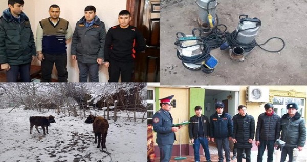 В Джайхуне задержаны серийные воры, обкрадывающие соседей и родственников