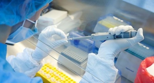 В Таджикистане число инфицированных новым коронавирусом достигло 10533 человека