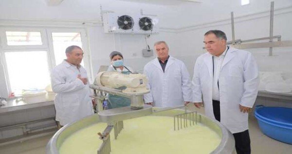 Опыт козоводов Зафарабада будут внедрять в других регионах Согда