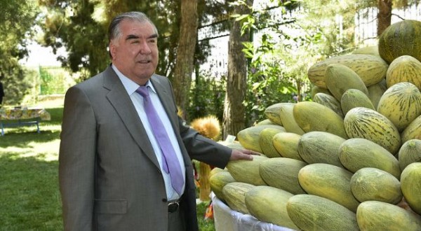 Эмомали Рахмон посетил сады и виноградники дехканских хозяйств района Хуросон