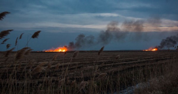 В Варзобском районе произошел пожар. Горели пастбища