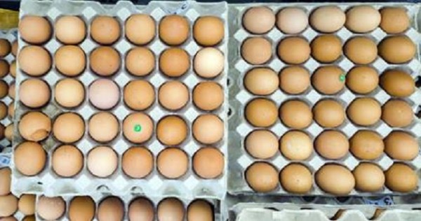 Врачи назвали защищающие легкие от коронавируса продукты