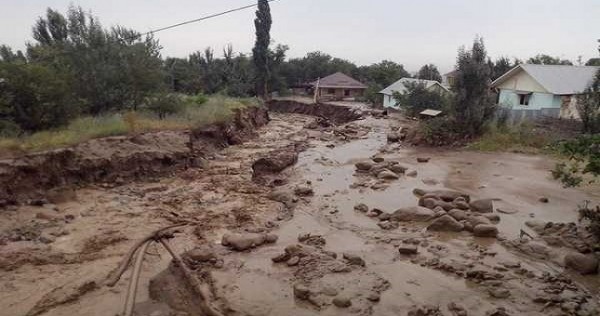 В Кушониёне утонул 10-летний мальчик