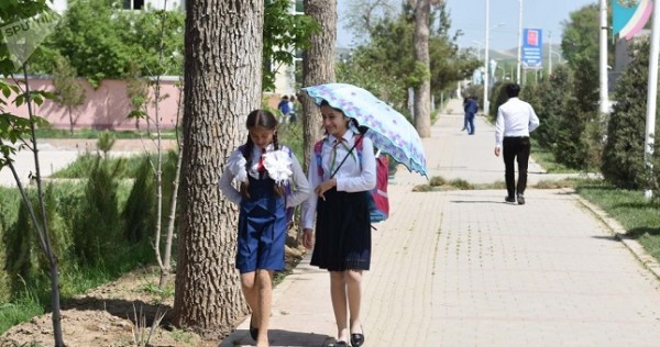 Климатологи рассказали о температурных аномалиях на это лето