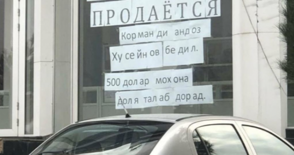 Предприниматель из Согда устроил необычную акцию протеста против действий налоговиков