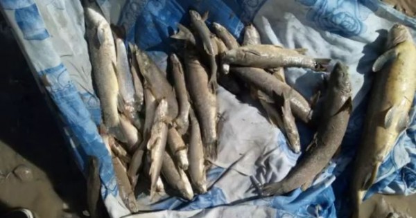 Предприятие оштрафовано за отходы известковой свалки, впадающих в реку Шинг